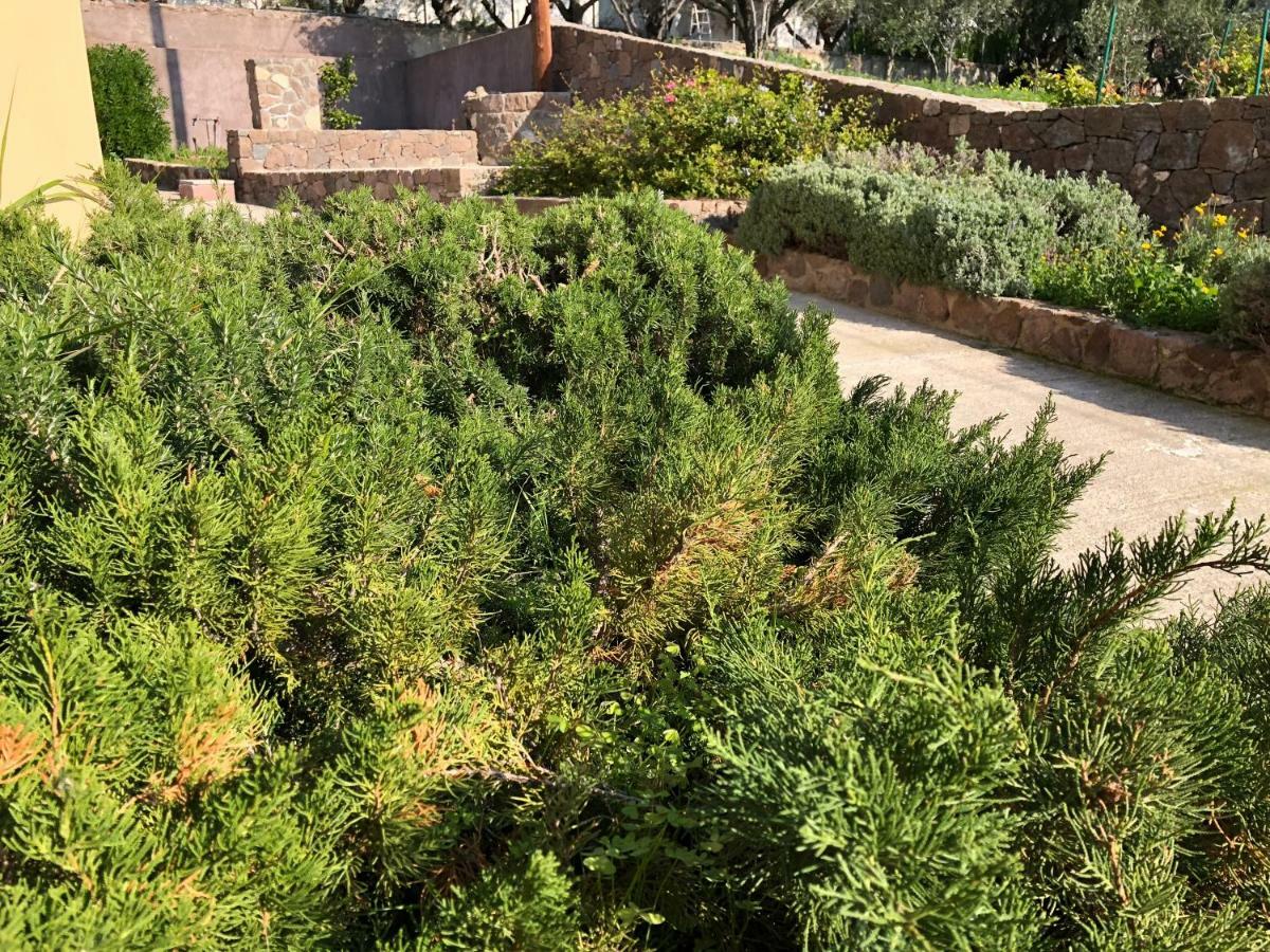 הוילה Aegina Breathtaking Seaview House מראה חיצוני תמונה